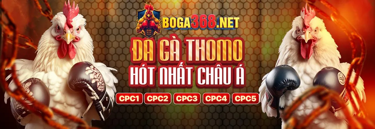 Sân đấu đá gà trực tuyến kịch tính tại 79win code